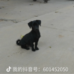 lq1174999532-过设备检测社区